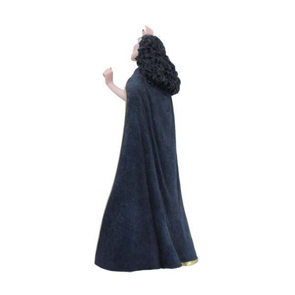Mother Gothel 15th Anniversary Figurine - Image 8