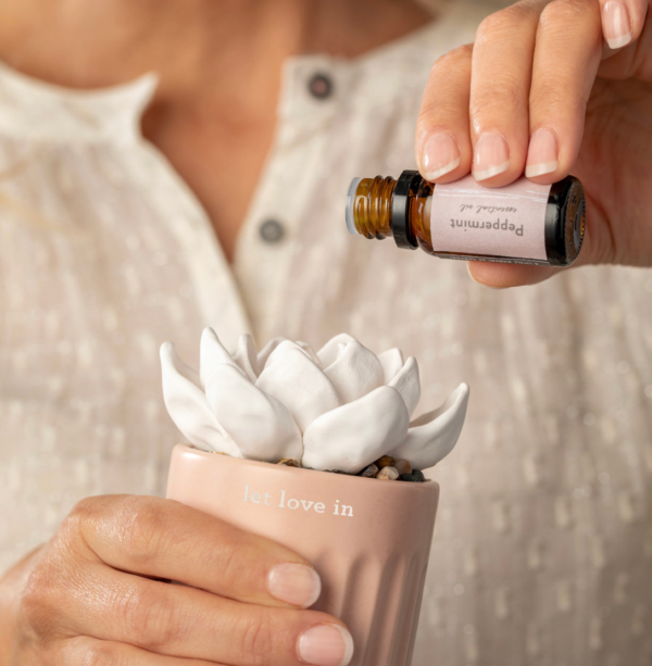 Succulent Oil Diffuser - XOXO - Image 4